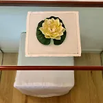 Hotel Pinocchio